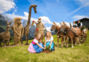 Familienzeit in Annaberg-Lungötz – barfuß, kunterbunt, lehrreich